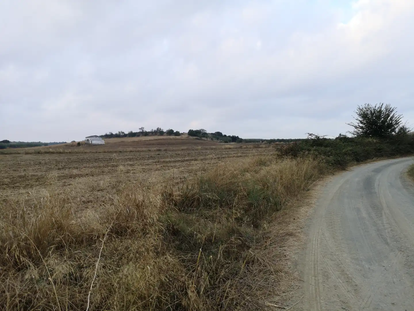 Terreni e lotti in vendita a Paraje Arrogil o Pedregal, imagen 10