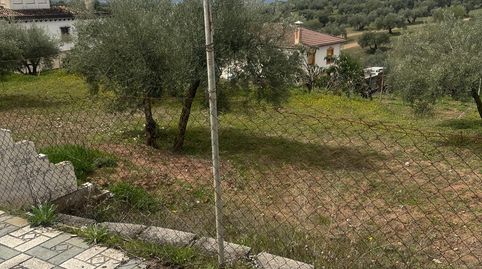VENTA FINCA URBANIZABLE PULIANAS