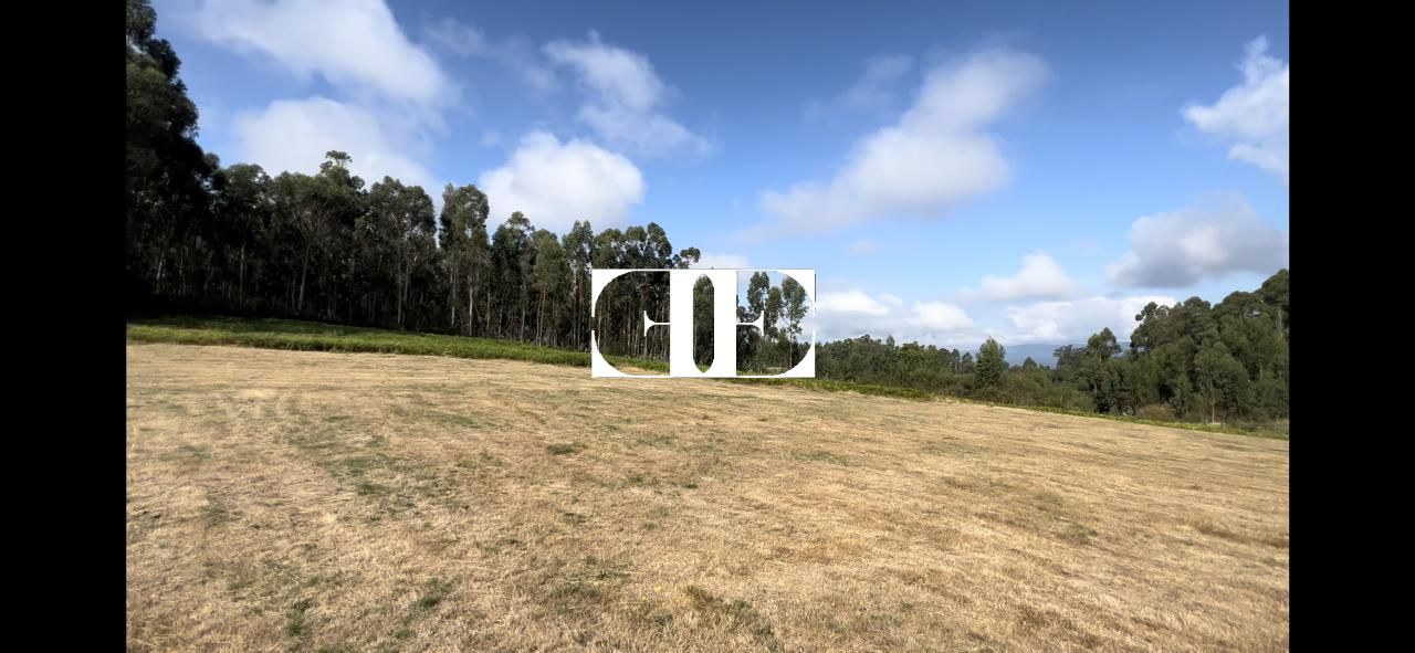 Residential for sale in Pazos de Borbén