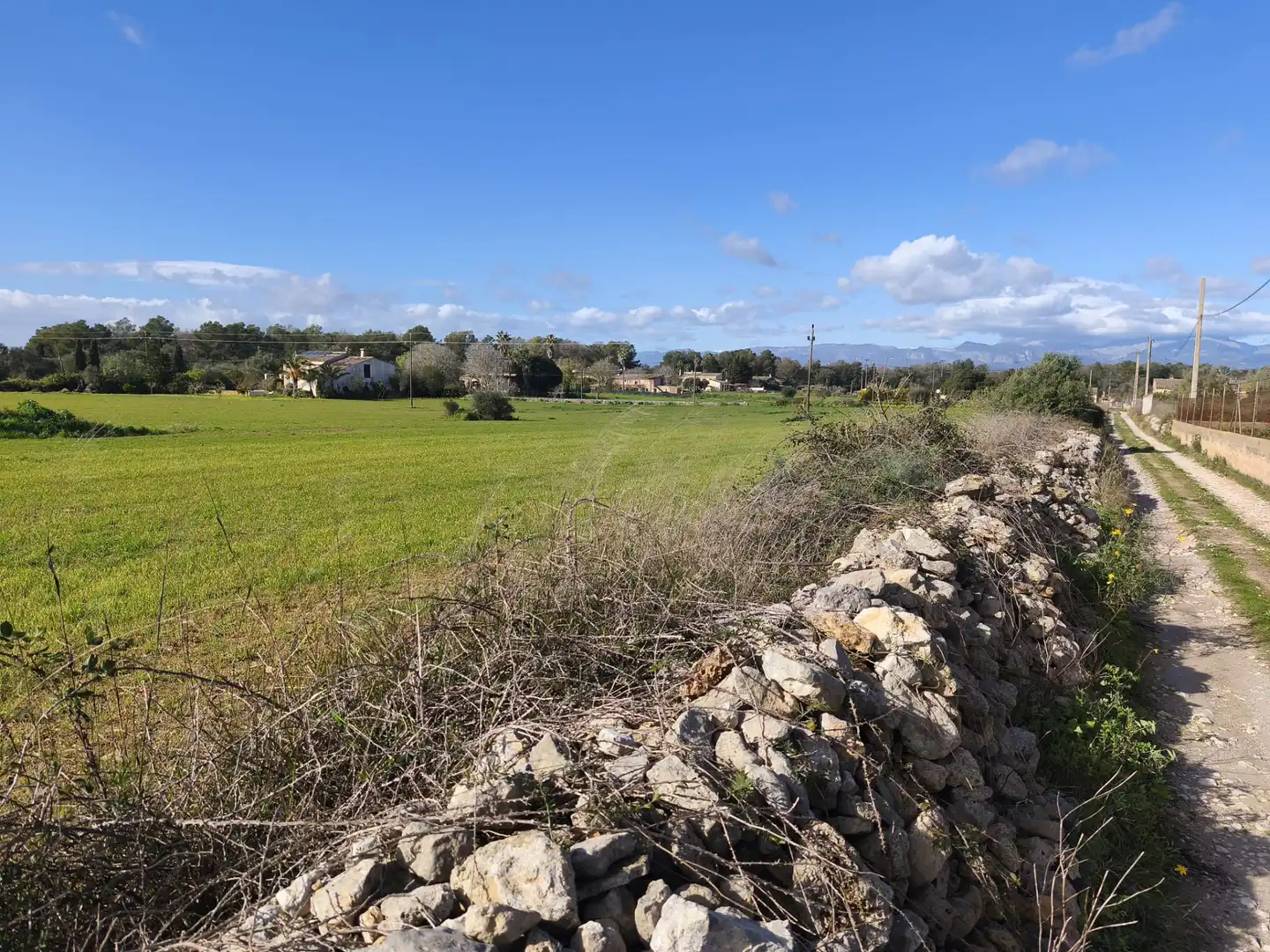 Terreno rustico in vendita a Lloret de Vistalegre, imagen 11