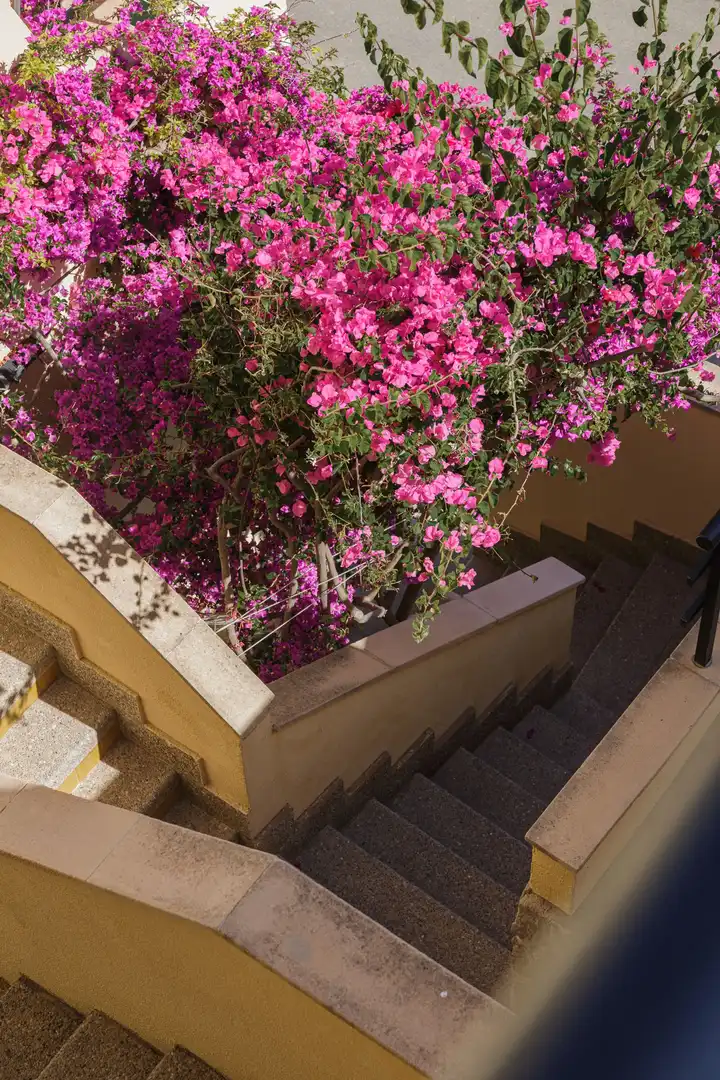 Jardí de Apartament en venda en Andratx amb Terrassa i Balcó
