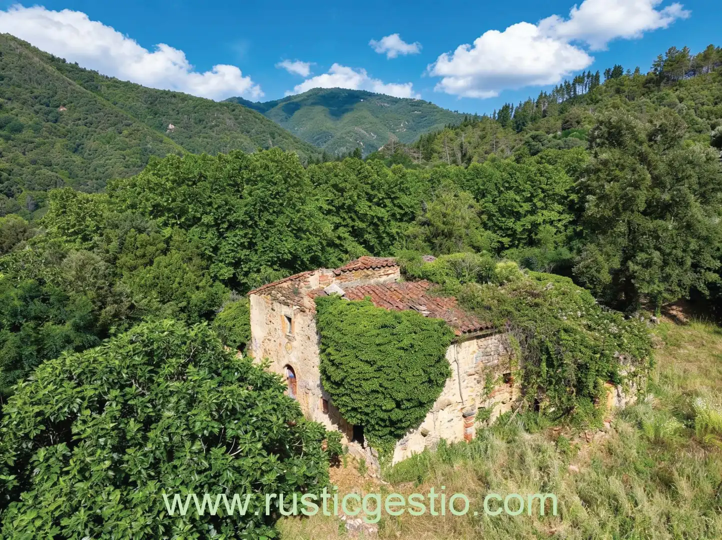 Jardín de Finca rústica en venta en Osor con Jardín privado