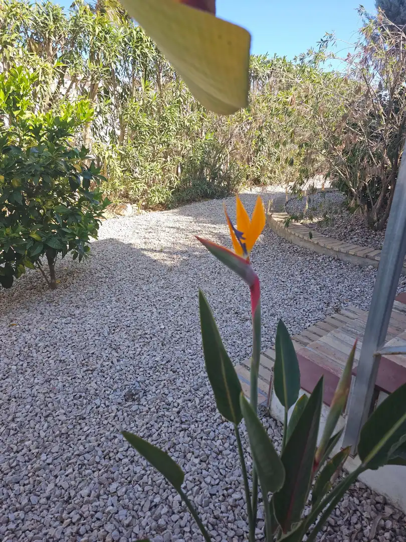 Casa con piscina in vendita a El Montgó, imagen 56