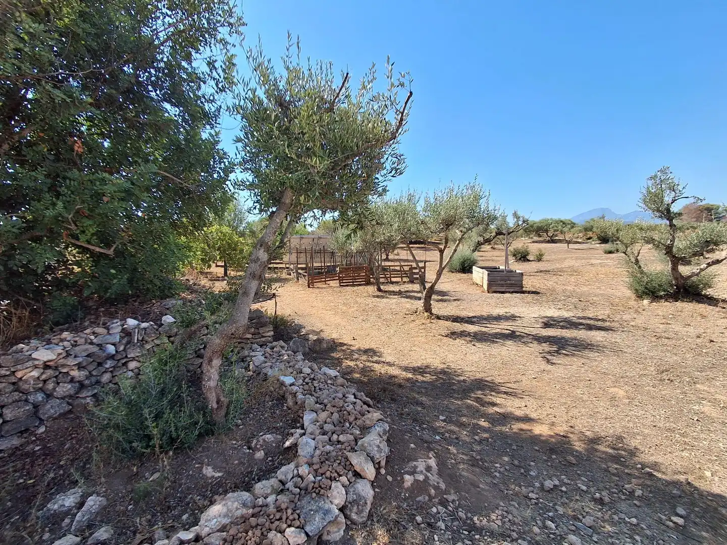 Houses for sale in Xerta