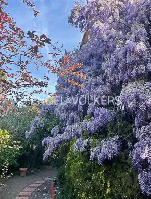Jardí de Casa o xalet en venda en Barcelona amb Calefacció, Jardí privat i Terrassa