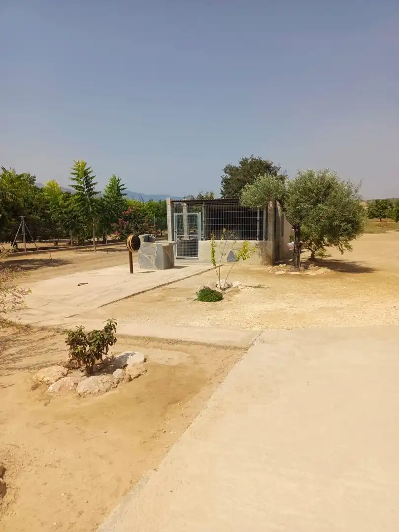 Finca rústica en venta en Tortosa