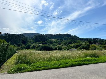 Terreno residenziale in vendita a Estrada Real