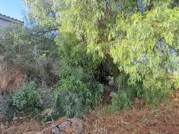 Country house for sale in Via Pecuaria 9, imagen 8