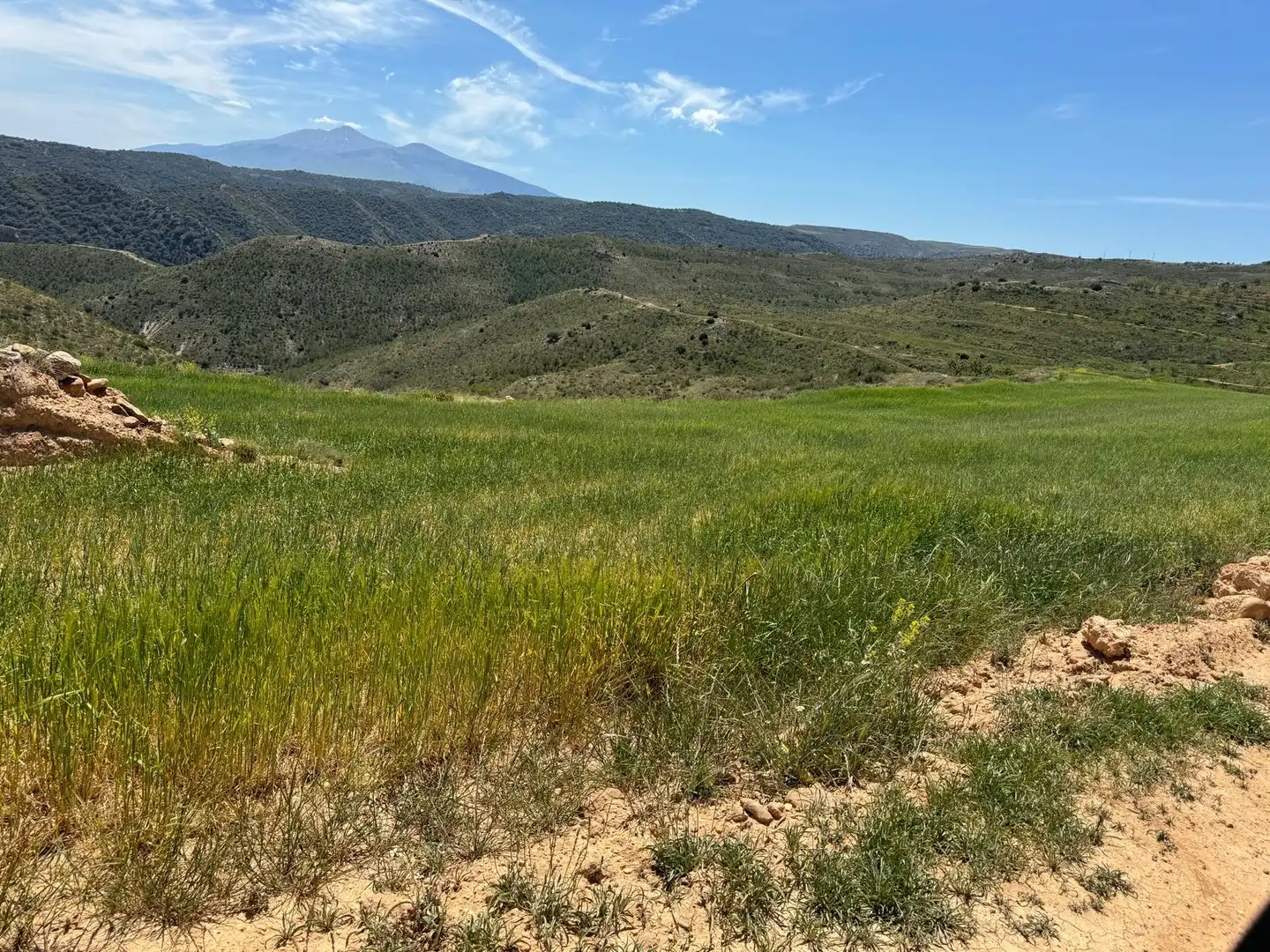 Terreno rustico in vendita a Cervera del Río Alhama, imagen 6