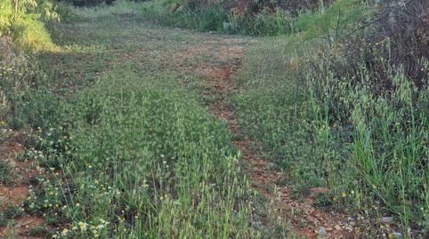 Finca en Bayarque ( Almería)., immagine 3