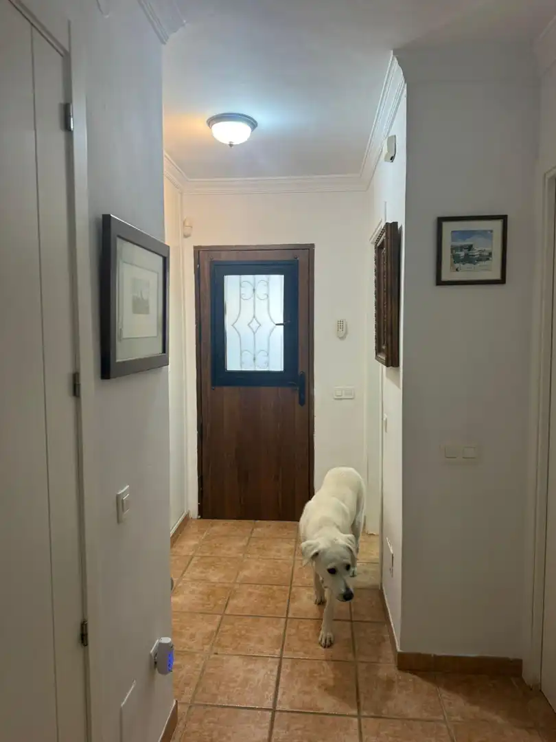 Detached homes for sale in Cotomar