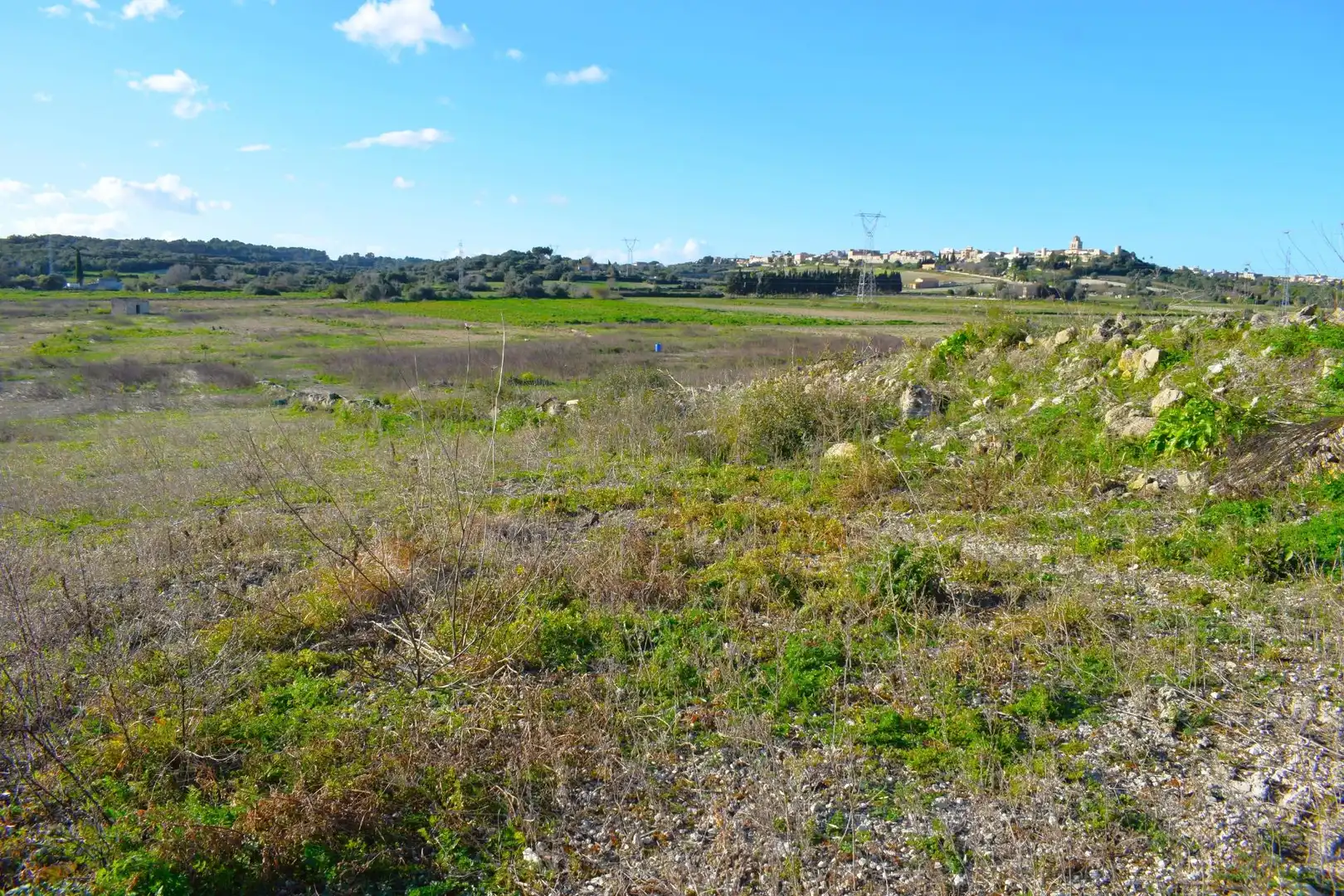 Residential land for sale in Muro, imagen 8