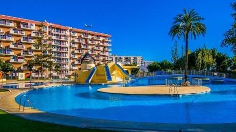 Foto 2 de Estudio de alquiler en Parque de la Paloma, Benalmádena