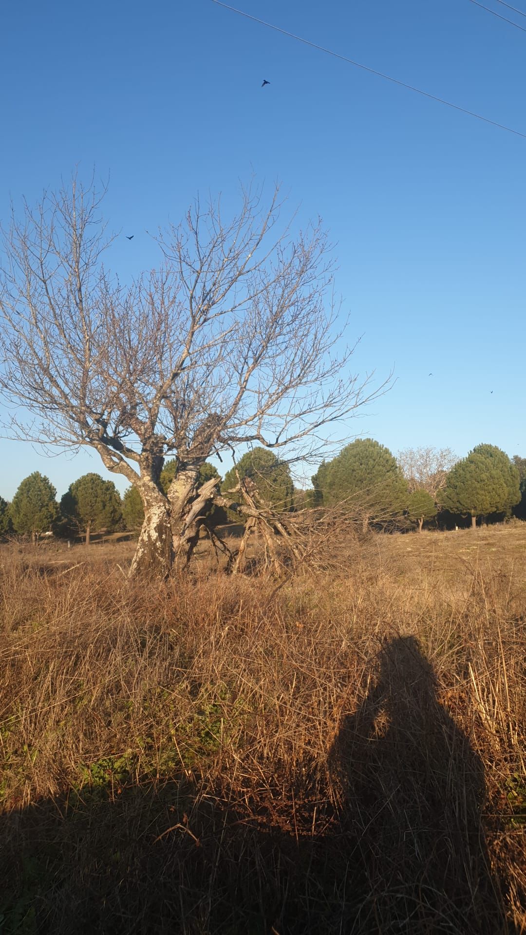 Land for sale in  Madrid Capital