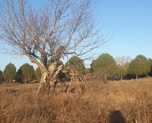 Land for sale in  Madrid Capital