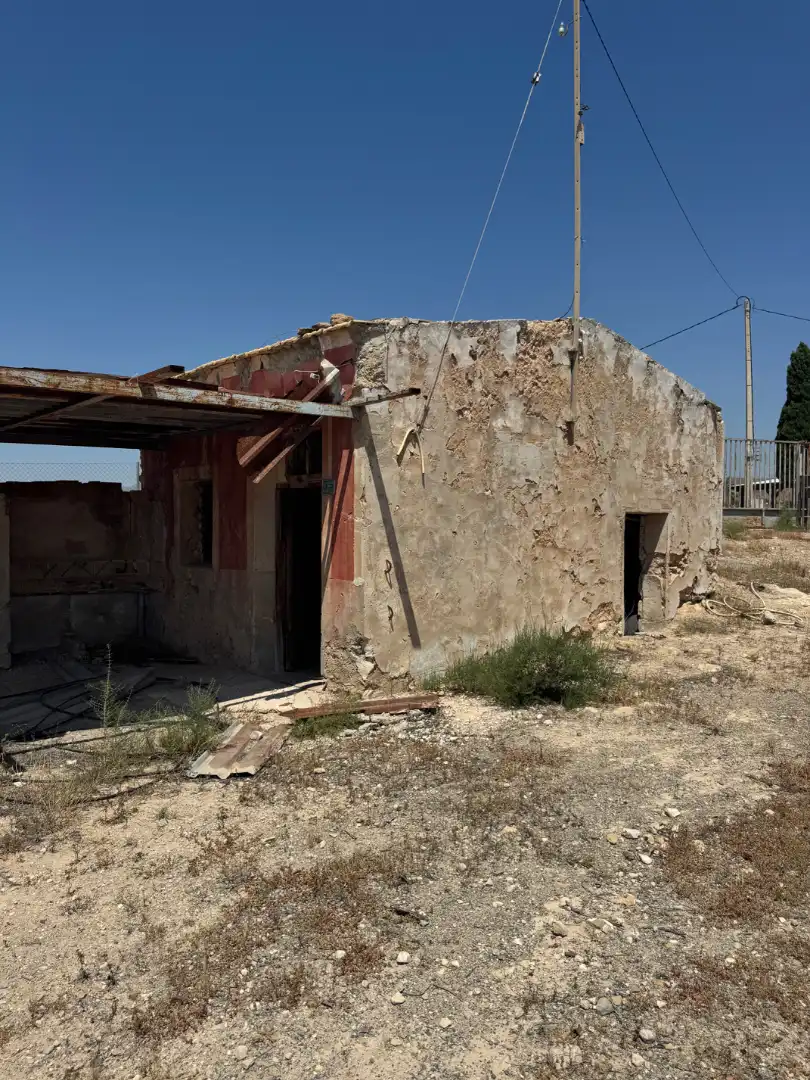 Vista exterior de Finca rústica en venda en Elche / Elx