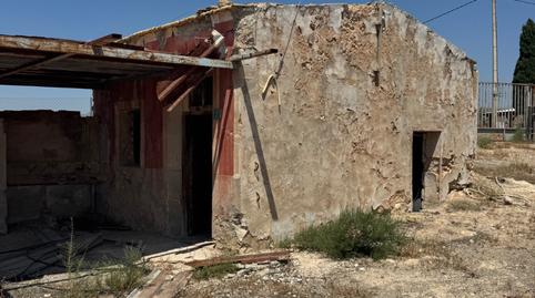 Foto 2 de Finca rústica en venda a N/a, La Algoda - Matola - Llano de San José, Elche / Elx