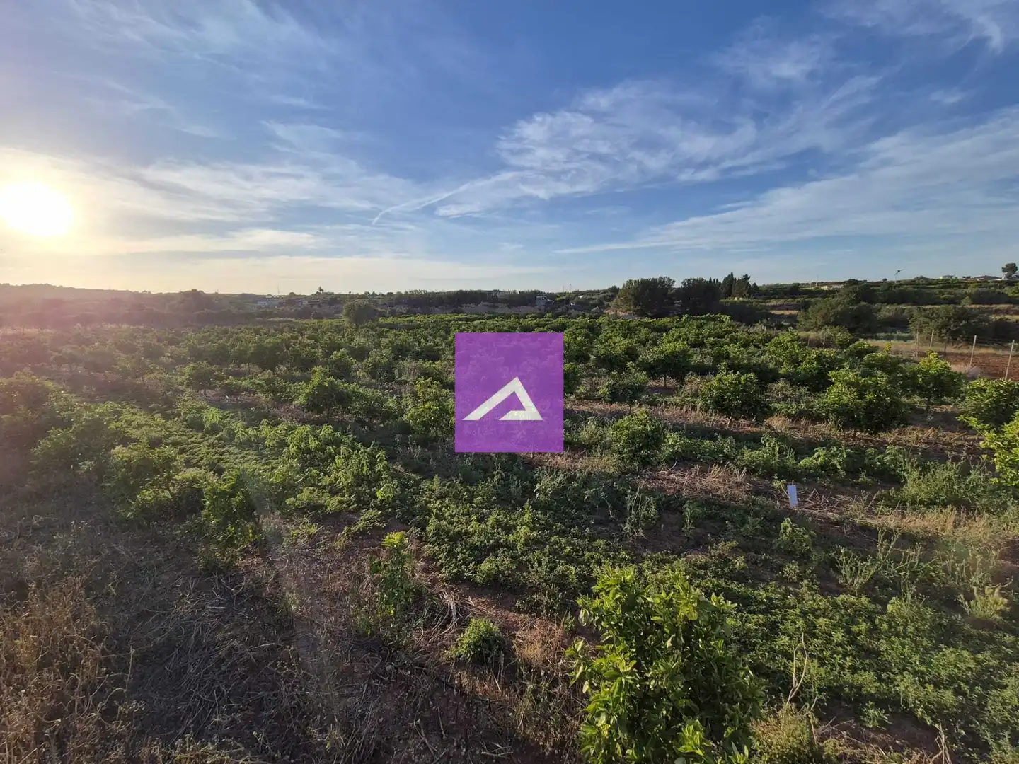 Land for sale in Picassent