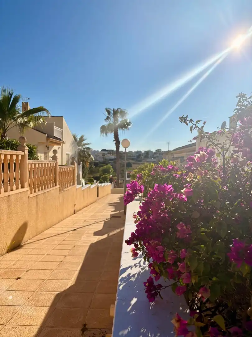Vista exterior de Casa o chalet en venta en Benijófar con Aire acondicionado, Jardín privado y Terraza