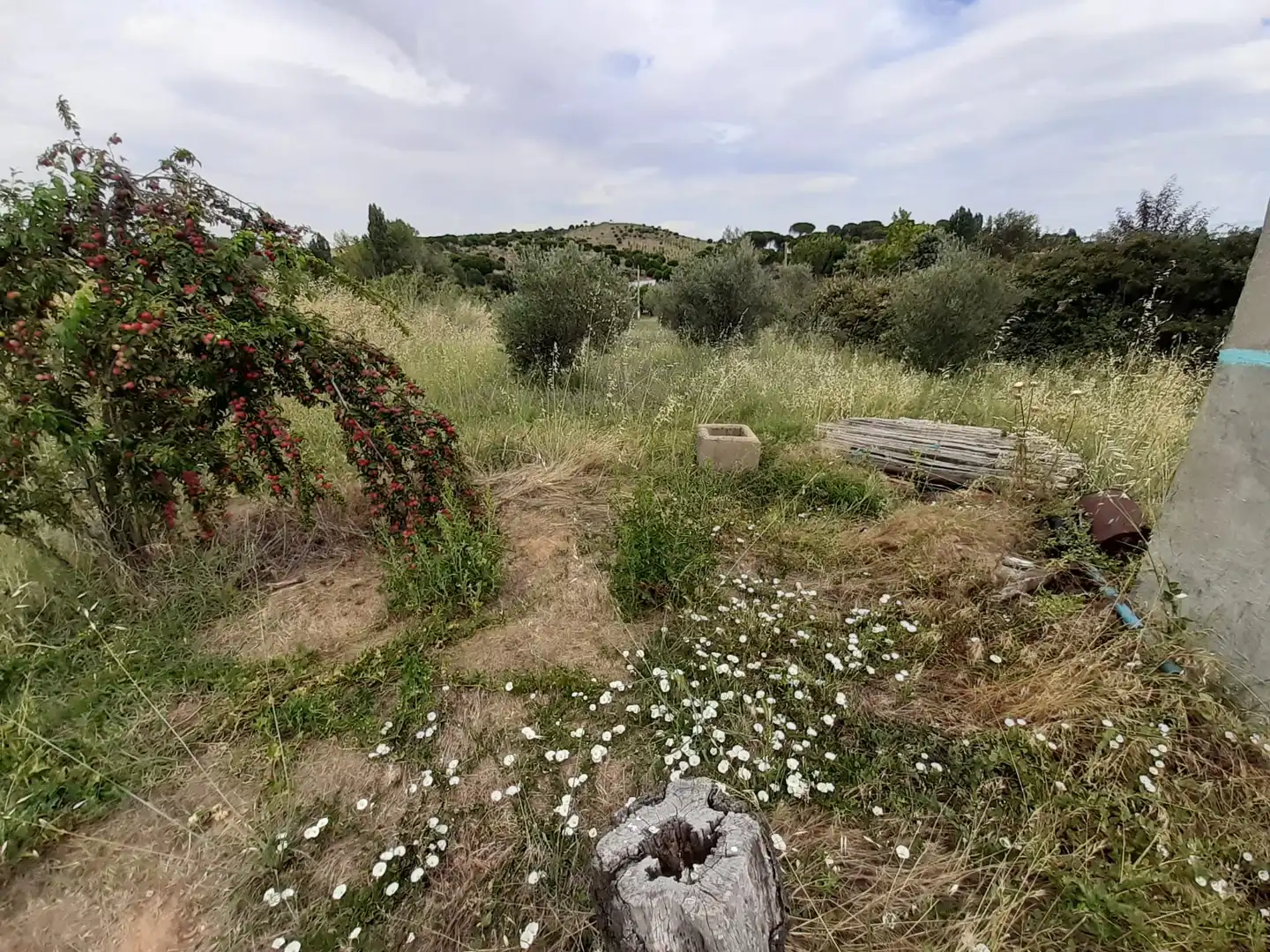 Terreni e lotti in vendita a La Hiniesta, imagen 4