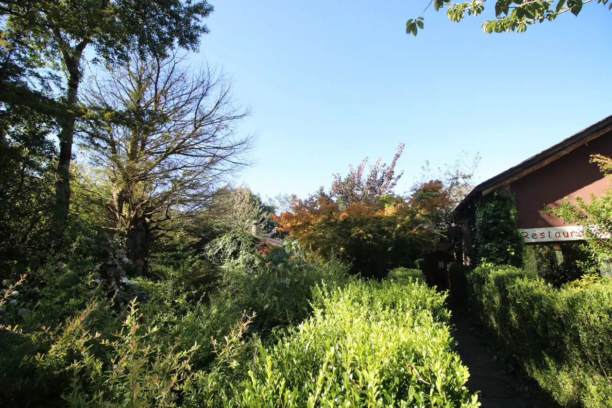 Jardín de Casa o chalet en venta en A Pontenova   con Jardín privado