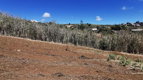 Photo 4 of Land for sale in San Lorenzo, Las Palmas