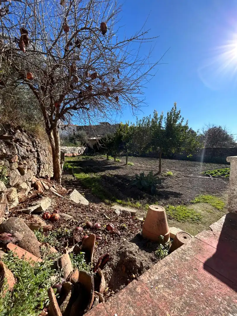 Casa o xalet en venda en Alburquerque