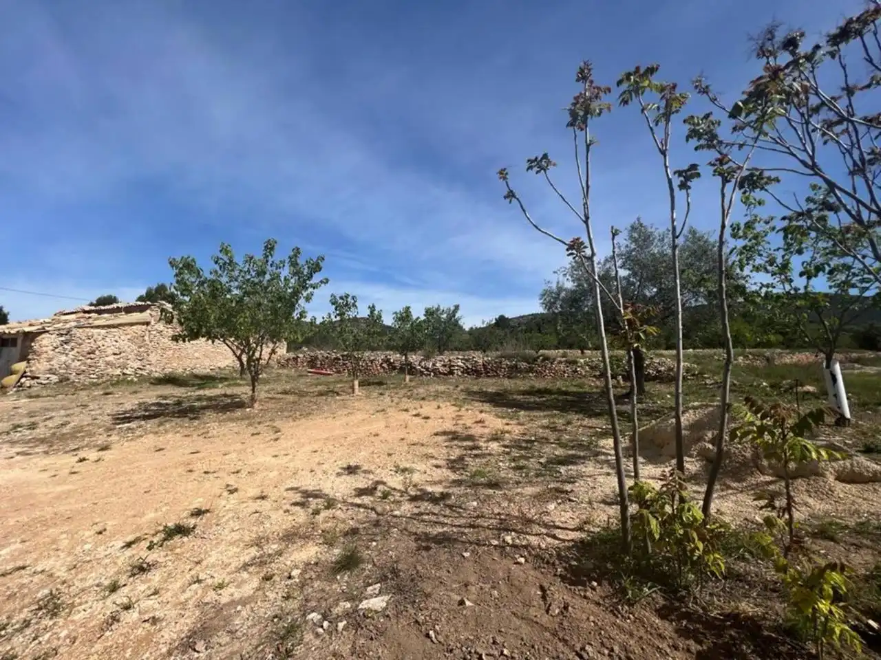 Chalet con jardín en venta en Calle Poligono, imagen 175