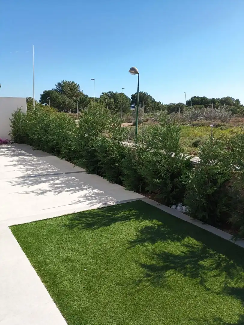 Xalet amb piscina en venda a El Pinar de Campoverde, imagen 29