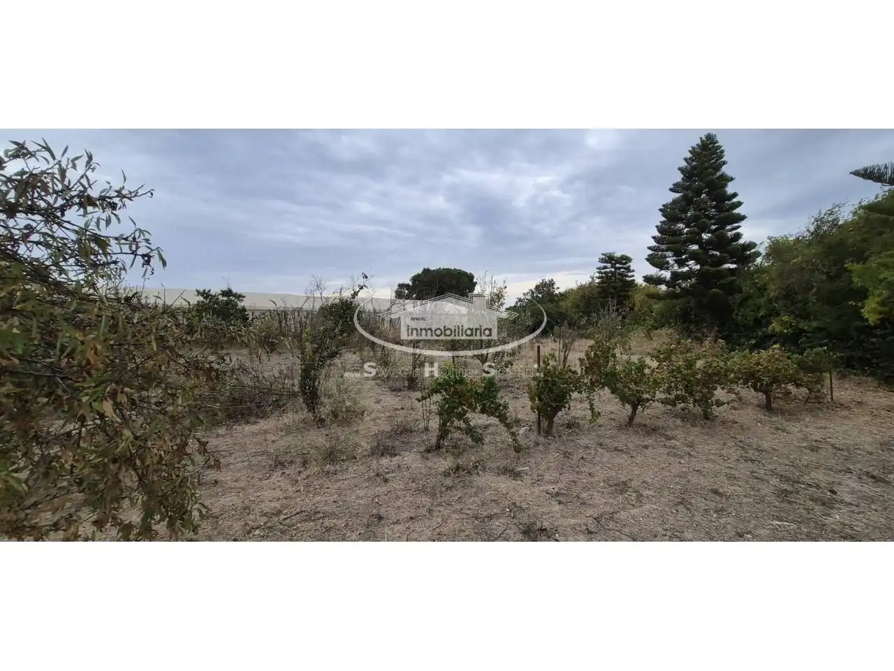 Terreno rustico in vendita a Calle Real de Chapitel, imagen 6