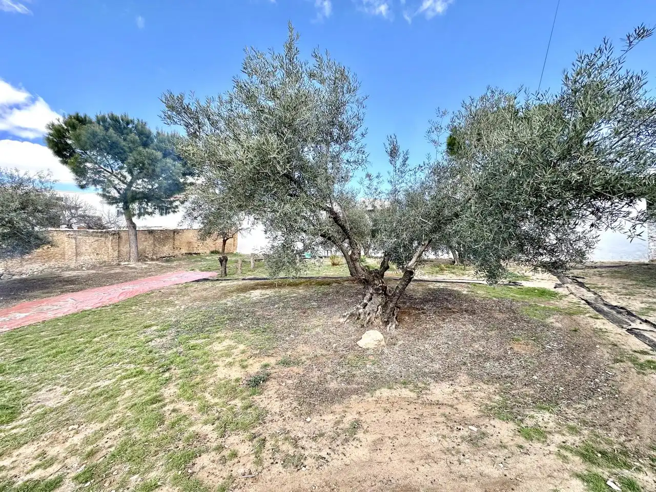 Casa amb jardí en venda a Villanueva de Algaidas, imagen 46