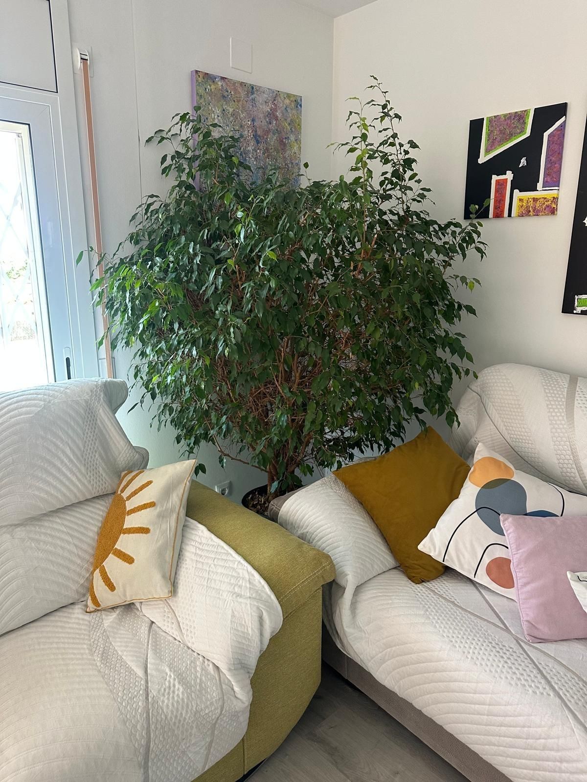 Vista exterior de Casa o xalet en venda en Calafell amb Calefacció, Jardí privat i Terrassa