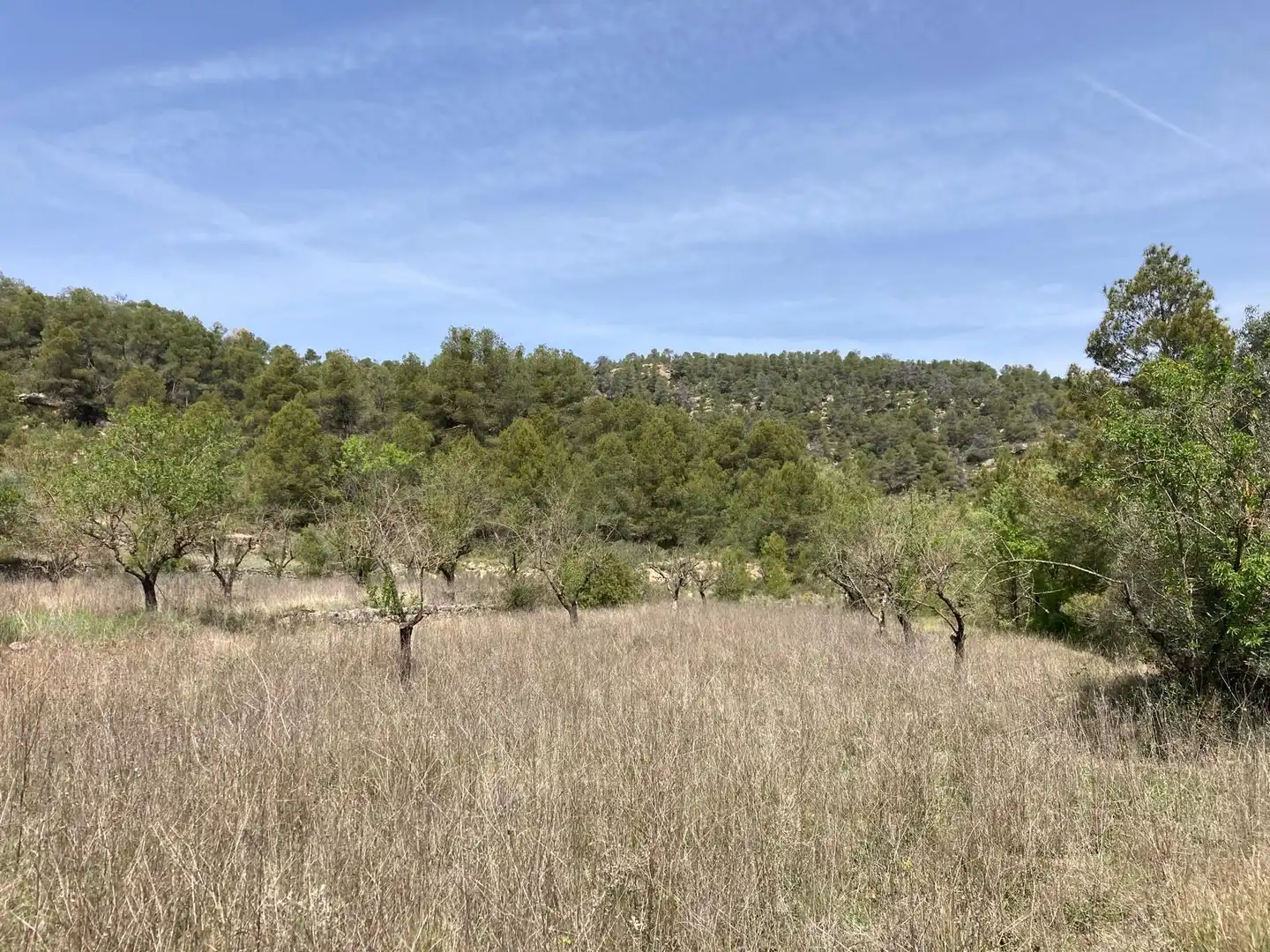 Terreni e lotti in vendita a Arens de Lledó, imagen 9