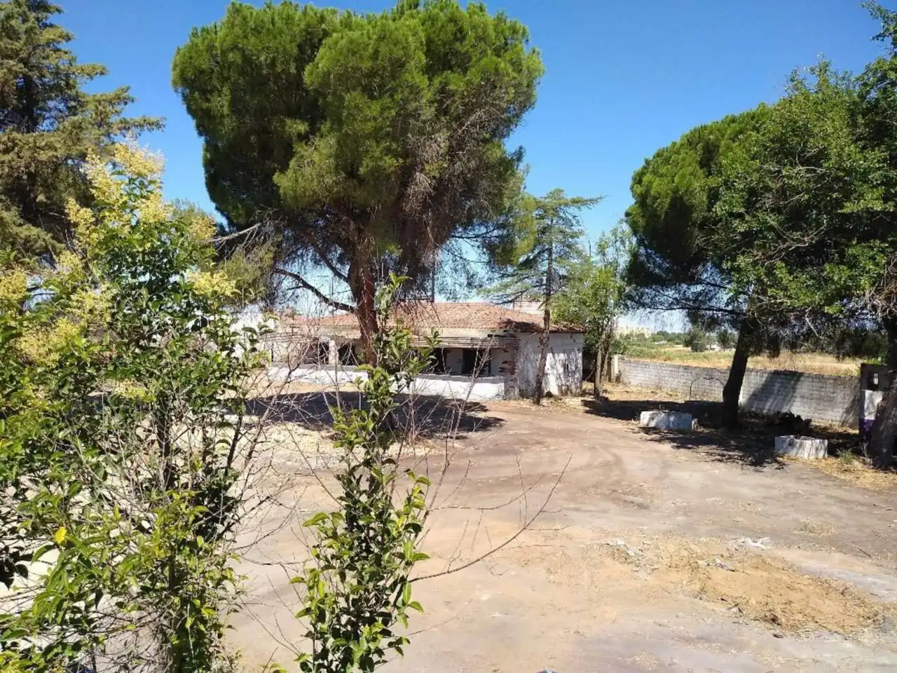 Terreni e lotti in vendita a Las Vaguadas, imagen 5