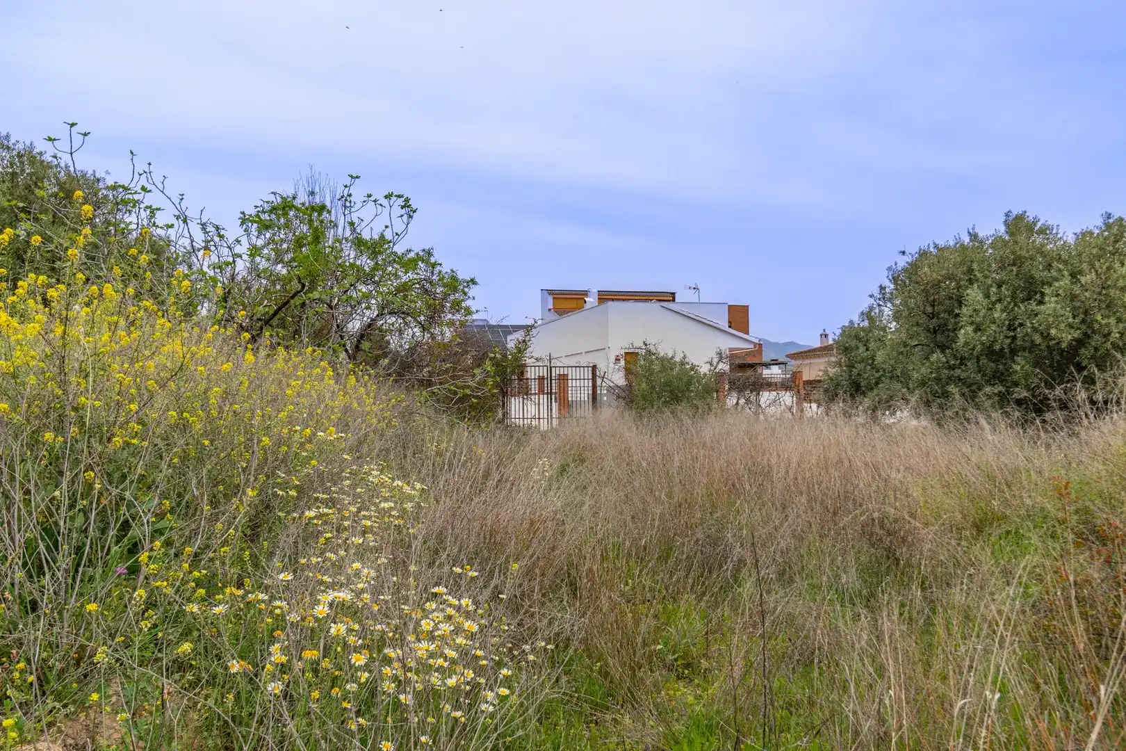 Terreno residencial en venta en El Torreón - Cortijo Pretel, imagen 5