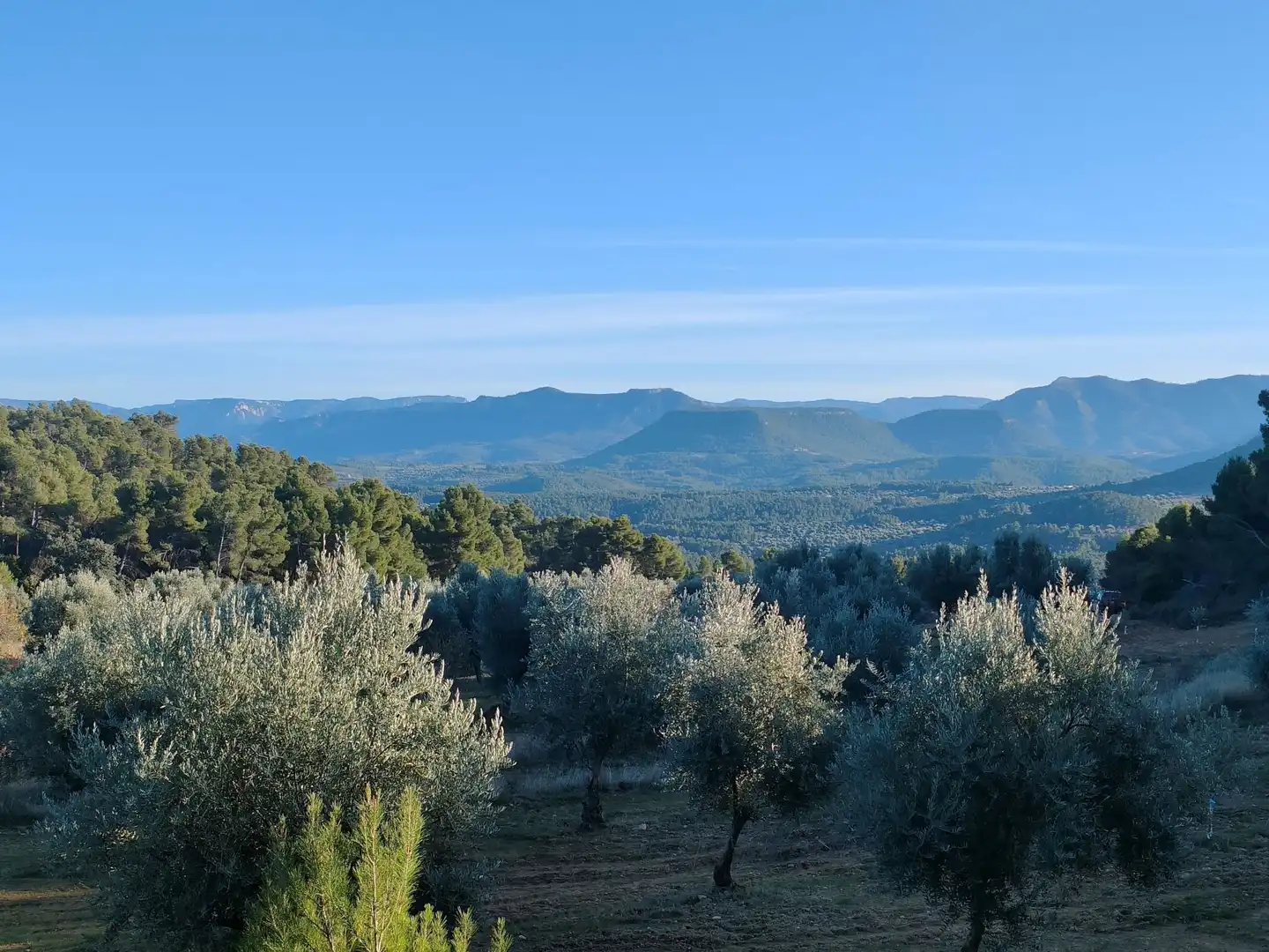 Terreni e lotti in vendita a La Fresneda