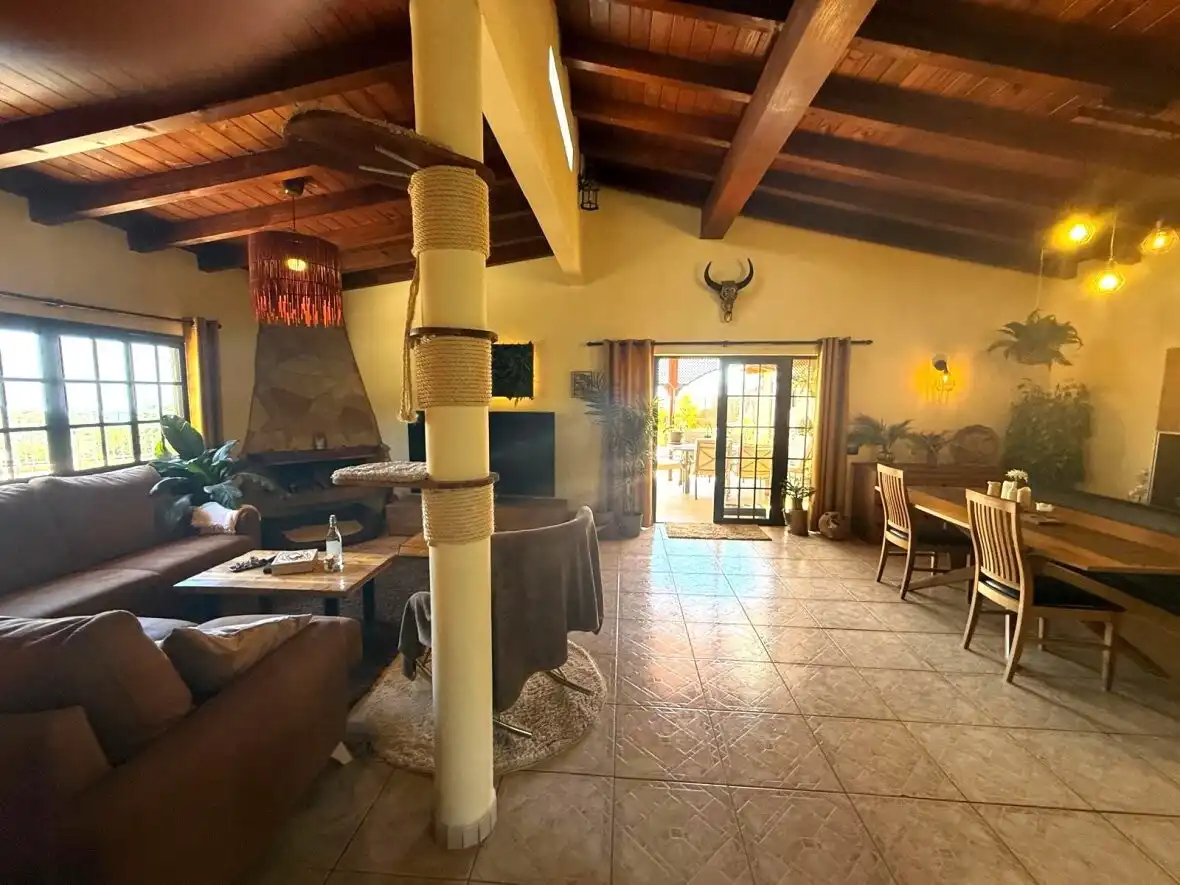 Sala de estar de Finca rústica en venta en Guía de Isora con Terraza