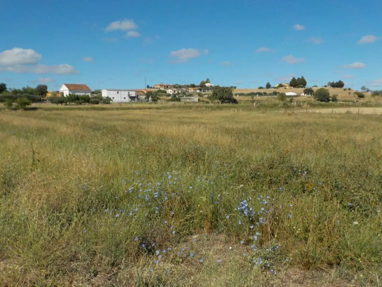 Detached house with garden for sale in Poligono 15, imagen 21