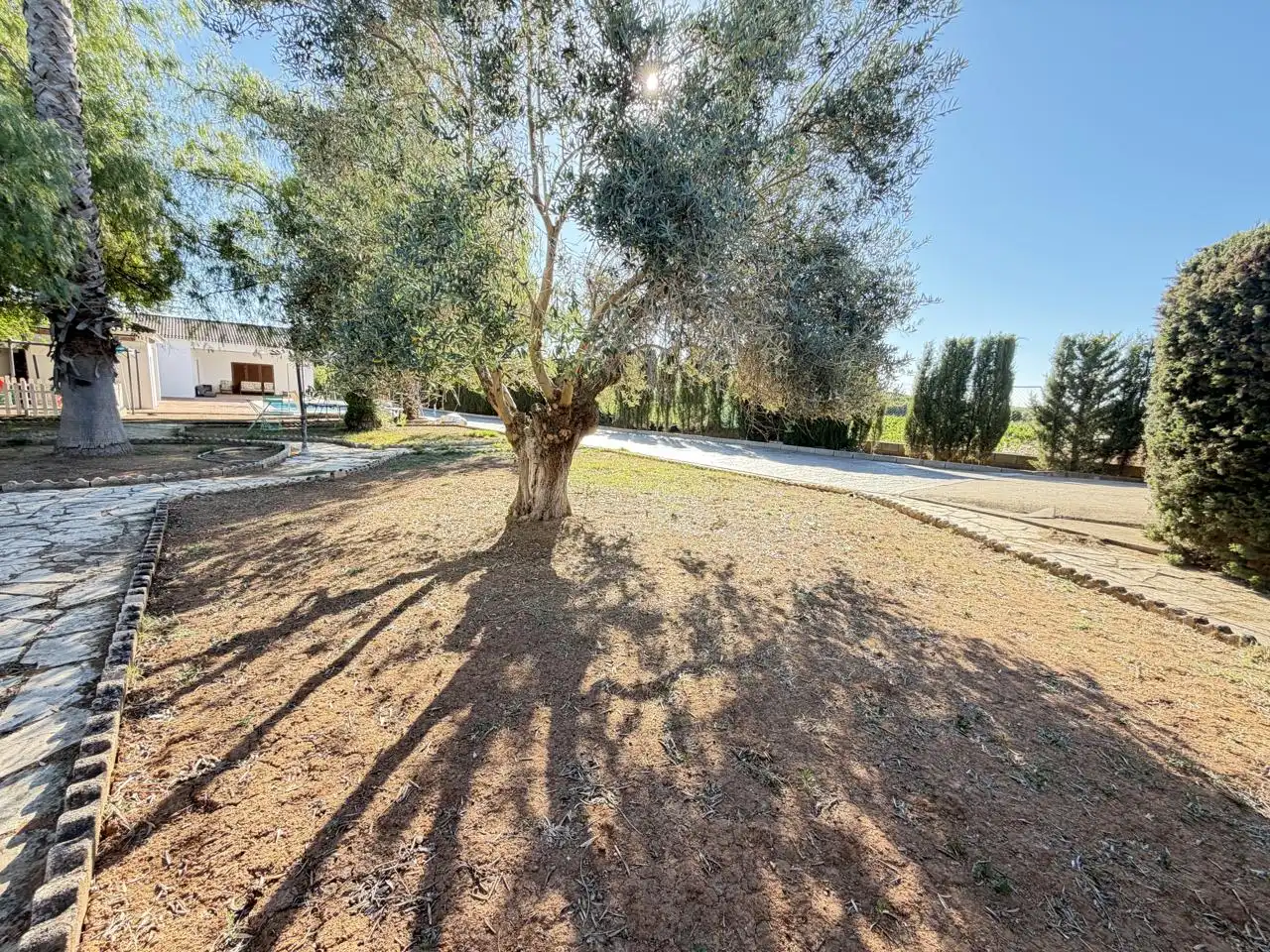 Houses for sale in Almendralejo