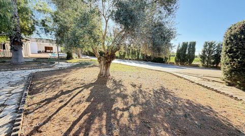 Photo 3 of Houses for sale in Vereda de Cuéllar, Almendralejo, Badajoz
