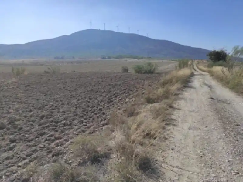 Land for sale in Cieza