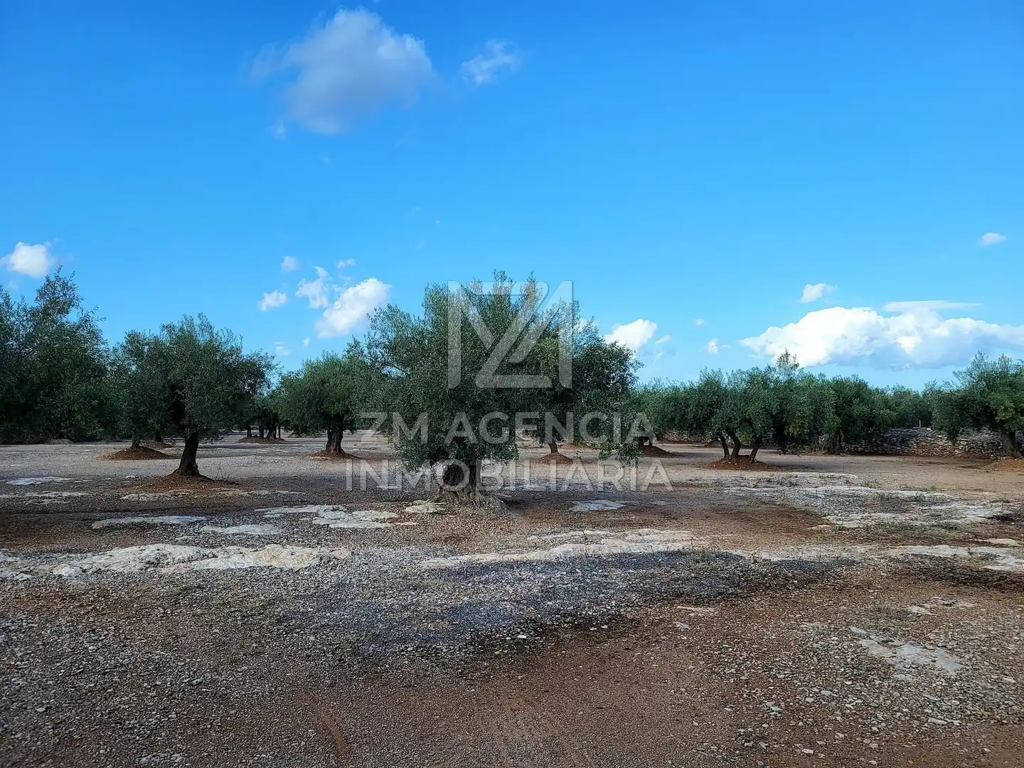 Country house for sale in Rossell, imagen 11