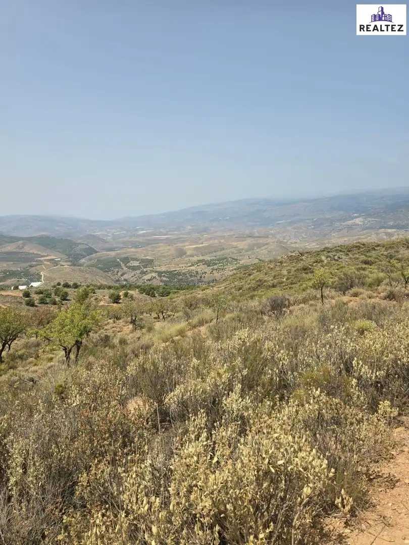 Terrain rustique à vendre à Alcolea, imagen 6