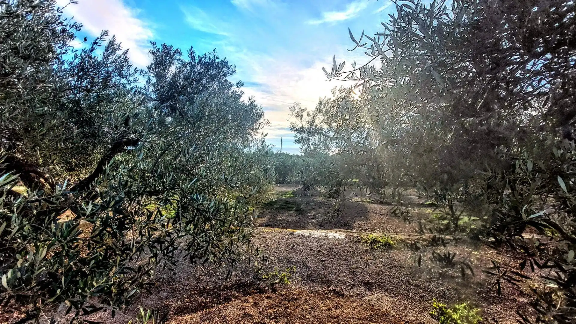 Finca rústica en venda en L'Ametlla de Mar  amb Jardí privat, Terrassa i Moblat