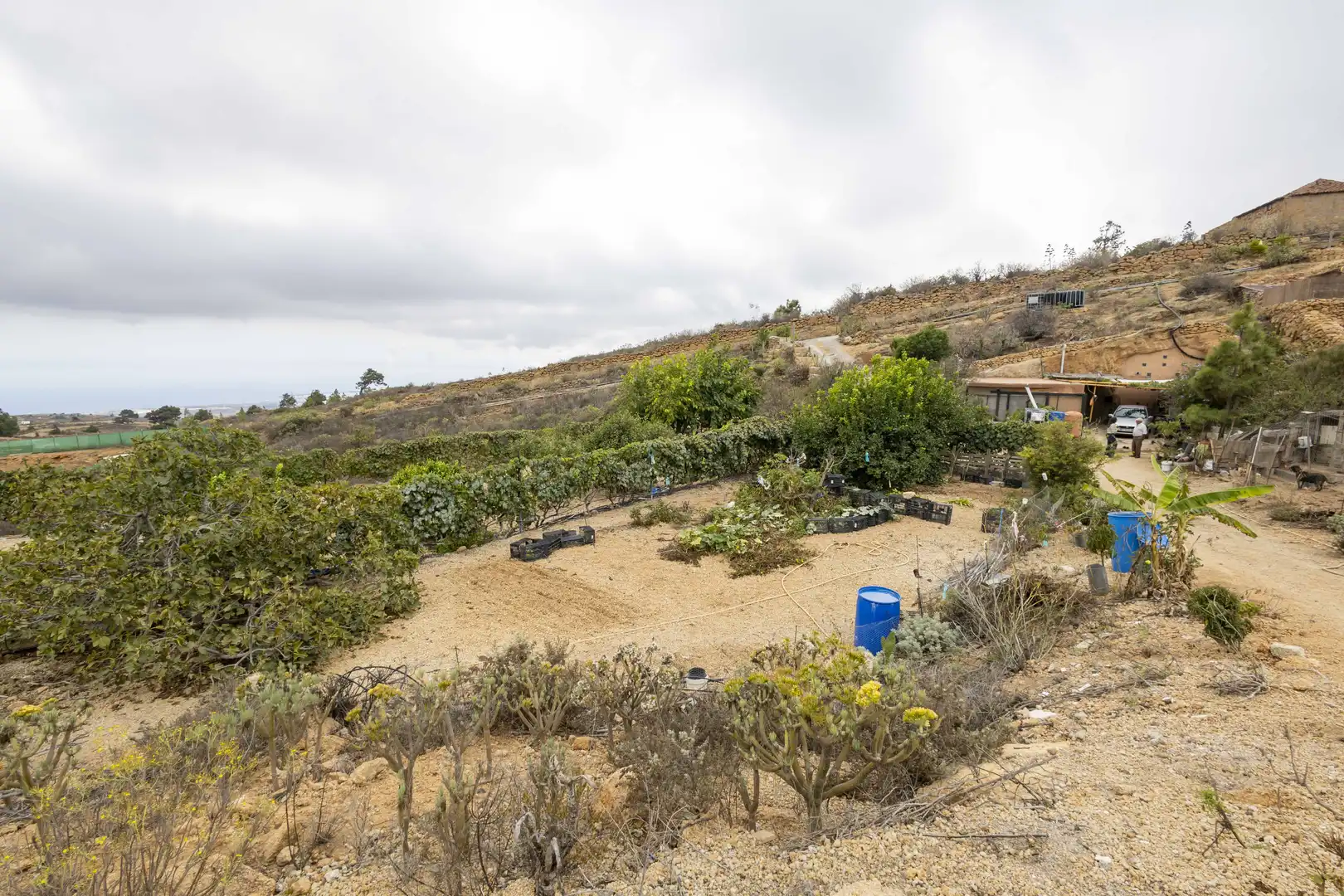 Terreno rustico in vendita a Calle San Bartolomé, imagen 32