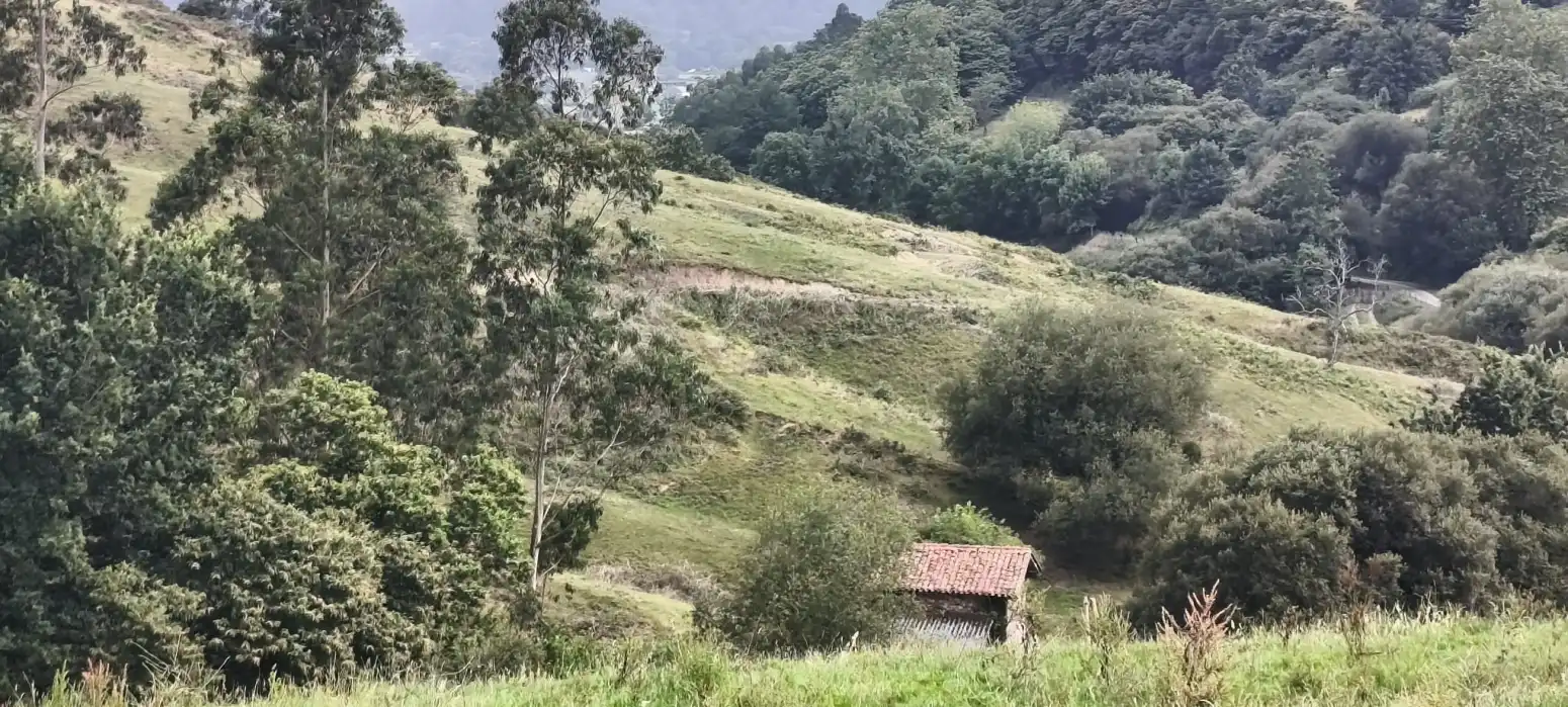 Casa amb jardí en venda a Cabezón de la Sal - Las Tueras, imagen 13