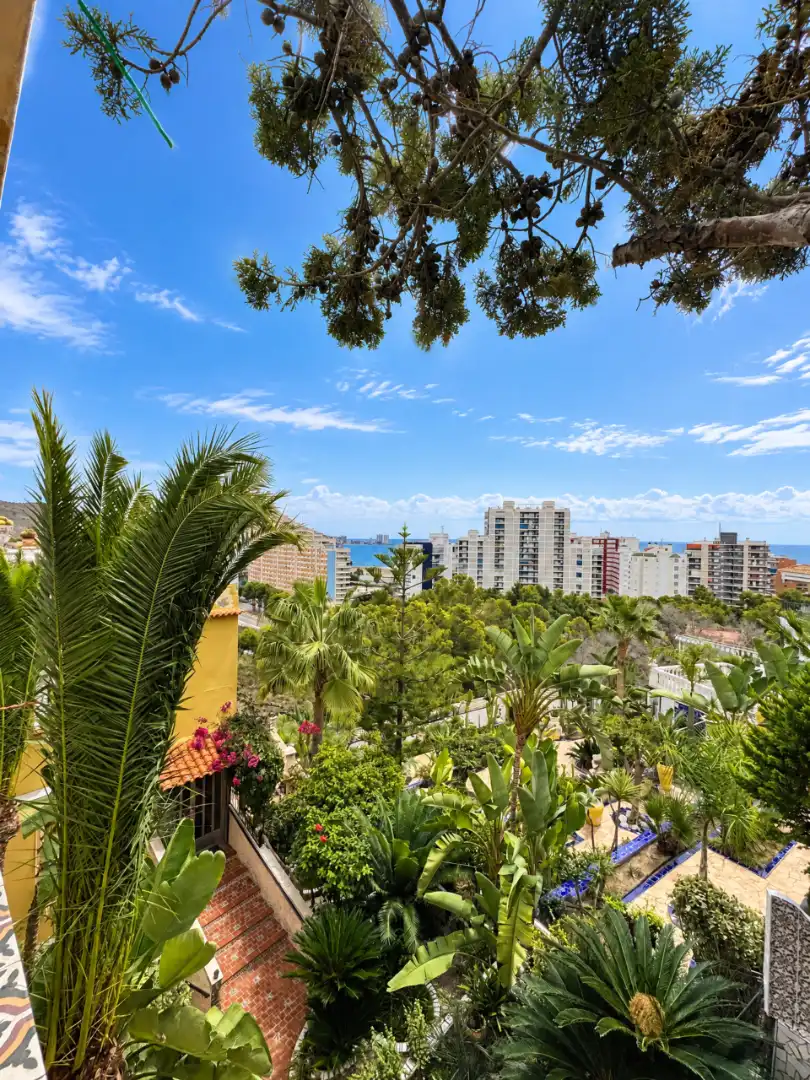 Vista exterior de Casa o chalet en venta en Sant Antoni
