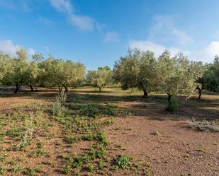 Land for sale in Santa Bàrbara