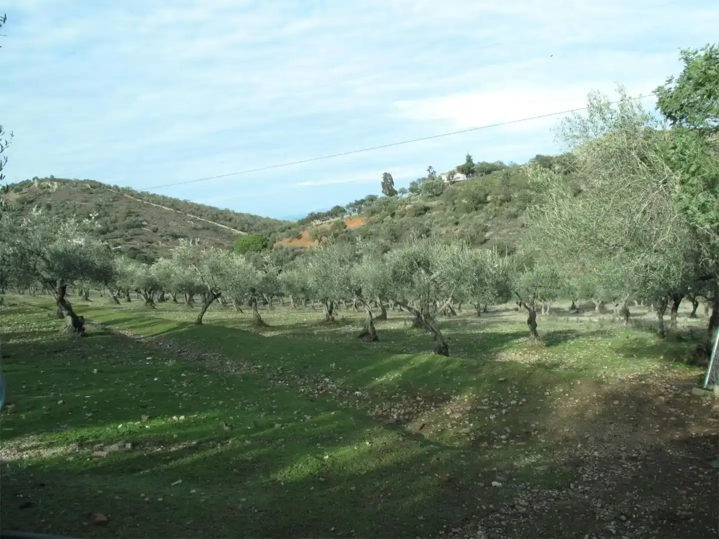 Casa o xalet en venda en Cáceres Capital