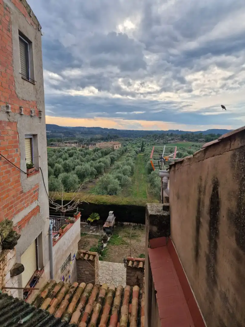 Jardín de Casa o chalet en venta en El Vilosell con Balcón